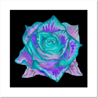 Blue rose flower Posters and Art